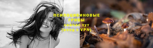 твердый Аркадак