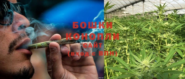 твердый Аркадак
