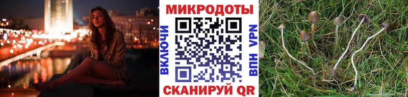 мориарти клад  Оханск  Галлюциногенные грибы мицелий 